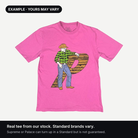 Standard Mystery Tee example from our stock: pink Palace cowboy tee. Brands vary; yours may differ.