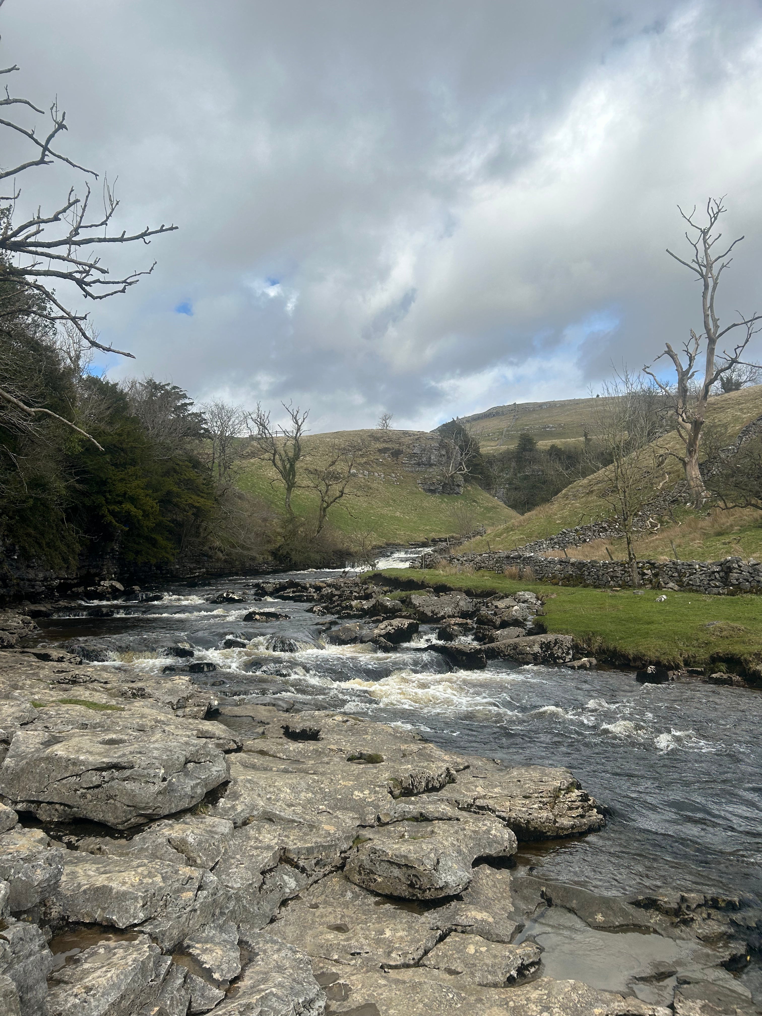 River flowing through a landscape with rocks and greenery under a cloudy sky.